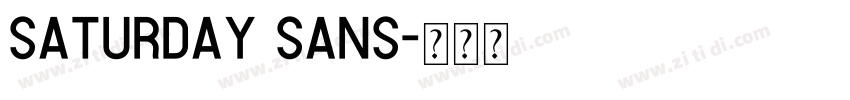 saturday sans字体转换